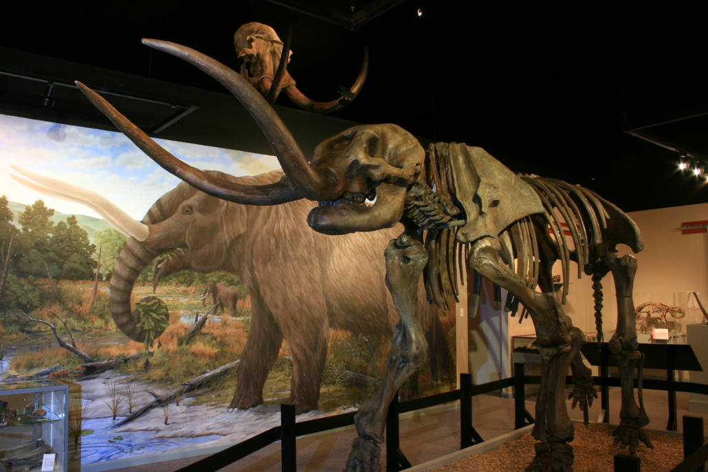 Mastodon Skeleton - Museum of the Middle Appalachians - Saltville, VA