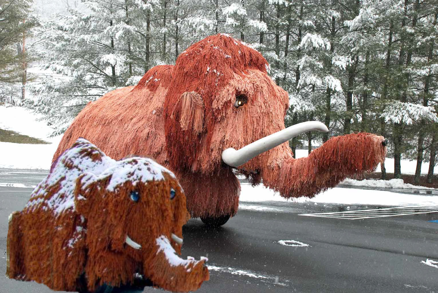 Wooly and Salty in the snow - Museum of the Middle Appalachians - Saltville, VA